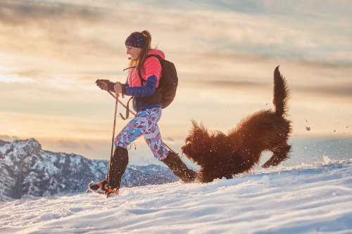 9 Tipps für einen gelungenen Winterurlaub mit Hund