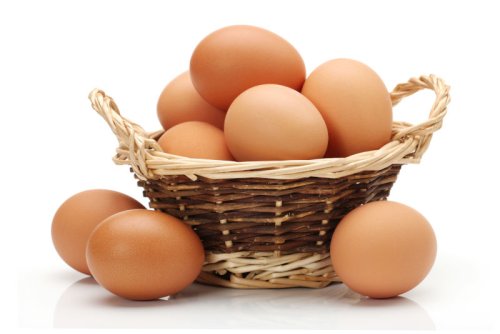 Ei als Hundefutter – Dürfen Hunde Eier essen?