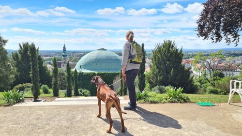 Baden bei Wien mit Hund – ein toller Städtetrip