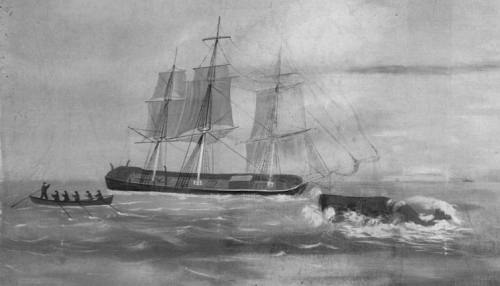 The Astonishing Tale Of The Wreck Of The Essex