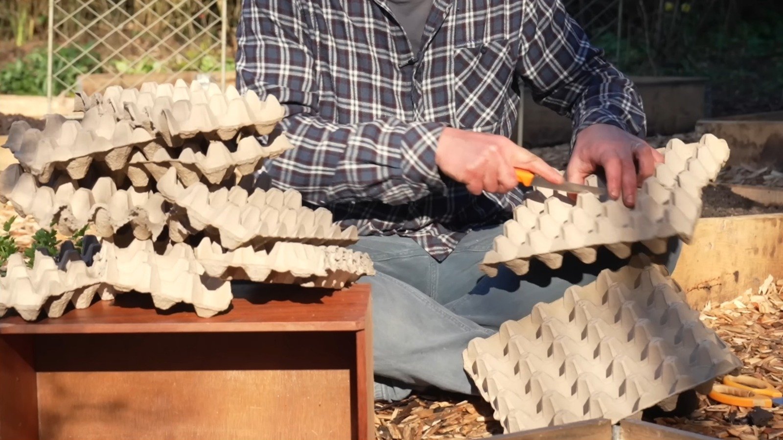 Creative ways to use egg cartons in the garden  - cover
