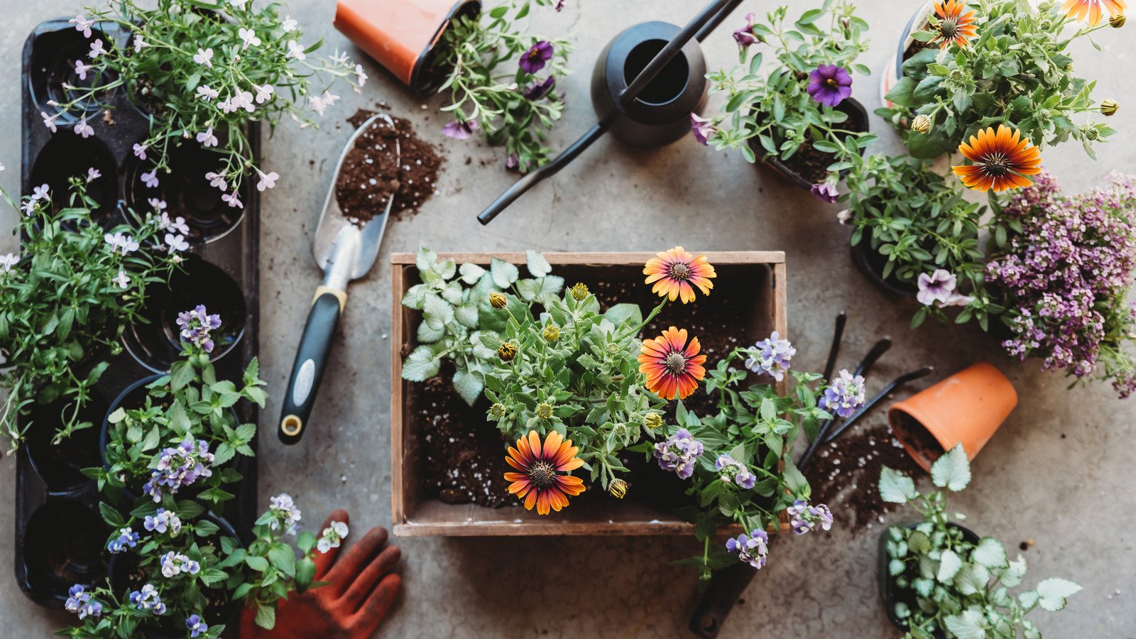 Garden Hacks cover image