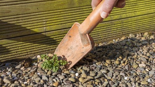 Tricks for keeping weeds out of your gravel landscaping 