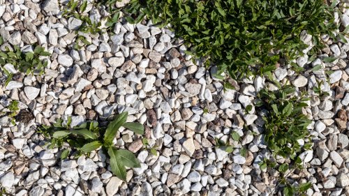 Tips for keeping weeds from growing in gravel