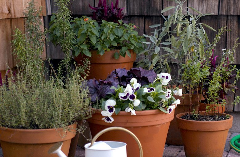 "Bulb Lasagna" Is The Trick To Creating A Planter That's Constantly In Bloom