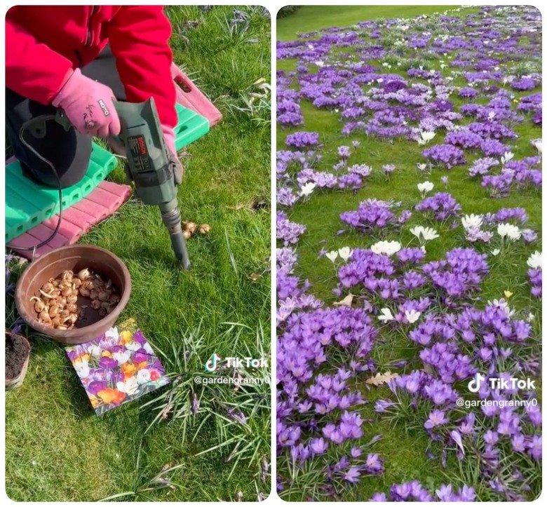 People Are Losing It Over This Electric Drill Gardening Hack