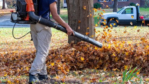 Yard Maintenance - cover