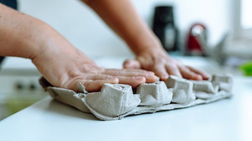 Clever ways to use empty egg cartons in your home and garden 