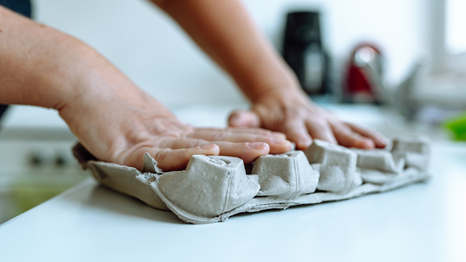 Clever ways to use empty egg cartons in your home and garden 