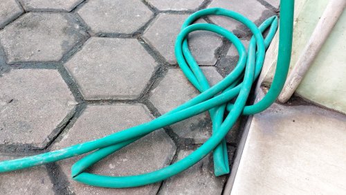 Household staples to reuse in your garden