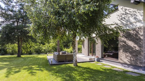 Trees and plants that'll thrive in the shade