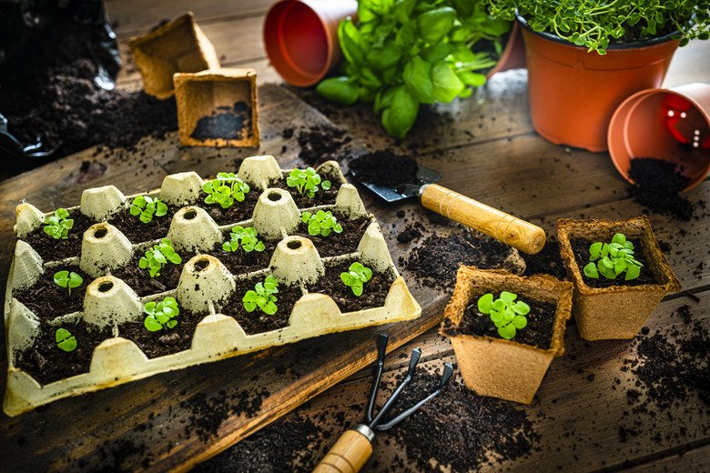 How To Recycle Styrofoam Egg Cartons