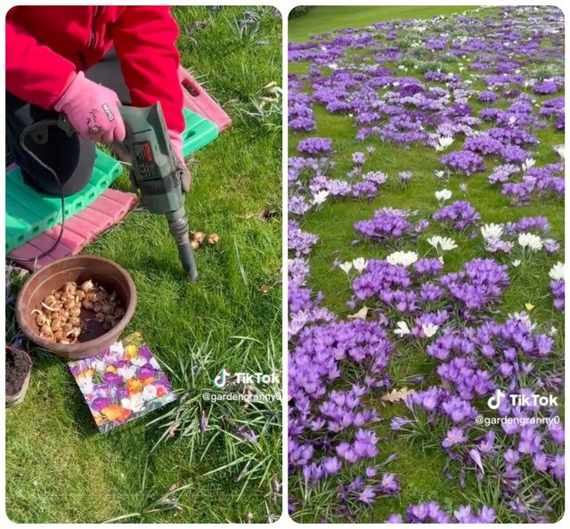 People Are Losing It Over These Gardening Hacks