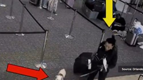 US woman drowned her dog in airport bathroom after being denied boarding, police say