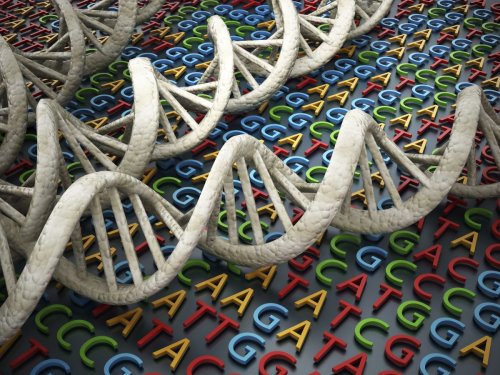 Advances in Genetics cover image