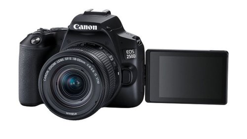 Тест DSLR-камеры Canon EOS 250D: все лучшее, плюс UHD | ichip.ru