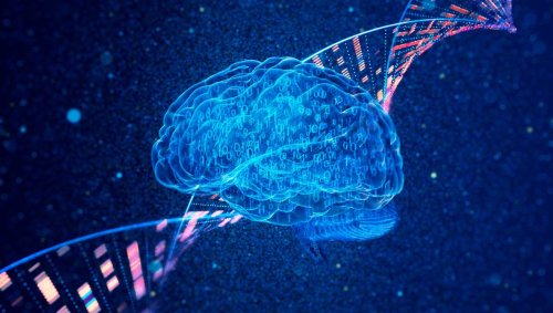 L'Intelligence artificielle au service des médecins pour lutter contre le cancer - ici