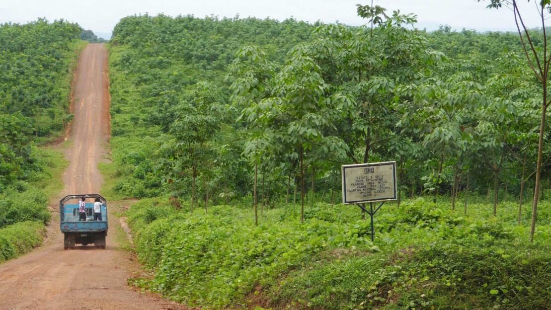 As IFC delayed a damning report on a Liberian rubber plantation, the owner sold the business