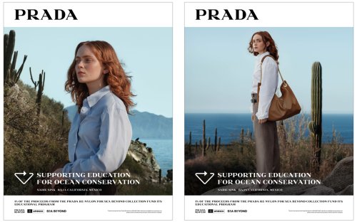 The Ocean’s Vanishing Forests – And Prada’s Mission to Save Them