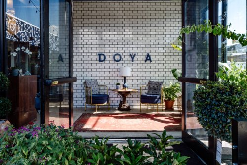 What’s for Dinner and Drinks? | Doya and Executive Chef Erhan Kostepen