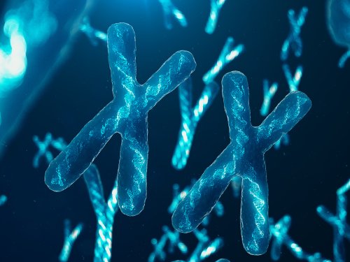 Y-Chromosome Study Confirms Genesis Flood Timeline