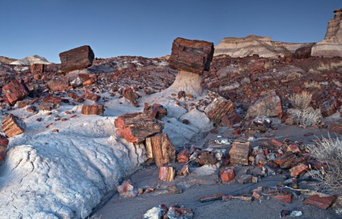 Nearly all national park sites to close during government shutdown