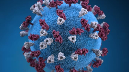 Pennsylvania confirms first measles case of the year. Here’s what parents need to know