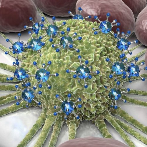 Nanoparticles Show Quick and Easy Way to Target Cancer