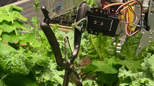 Robot Passes Turing Test for Polyculture Gardening
