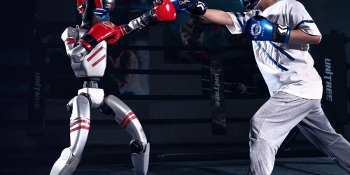 Video Friday: Robot Boxing