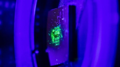 Entangled Photons Can Come Out in Webs Now