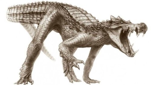 Galloping Crocodiles Ate Dinosaurs In North Africa