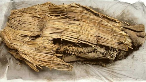 Spirit Cave Man: How The World’s Oldest Mummy Rewrote 10,000 Years Of Native American History