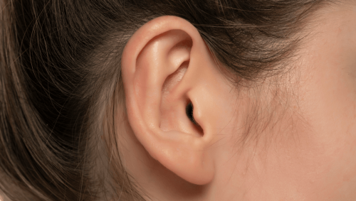Do You Have Darwin's Tubercle? This Curious Evolutionary Hangover May Have Once Helped Us Hear