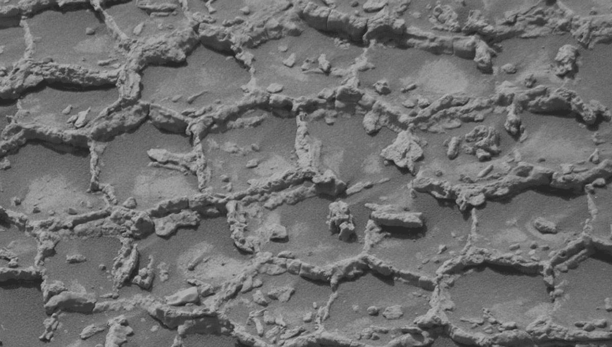 "Like The Top Of A Martian Honeycomb": NASA's Curiosity Rover Discovers Odd, Polygonal Structures On Mars