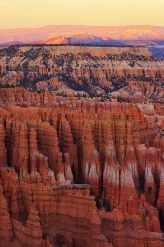 A Record-Breaking Number Of Hoodoos Can Be Found In Bryce Canyon