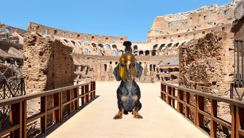 Wiener Dog Warriors? Dachshund Bones Found Under Colosseum Suggest So