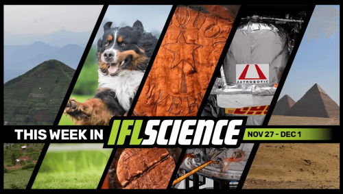 This 25,000-Year-Old “Pyramid” Was Likely Not Built By Humans, Life-Extending Drug For Big Dogs Gets Closer To FDA Approval, And Much More This Week