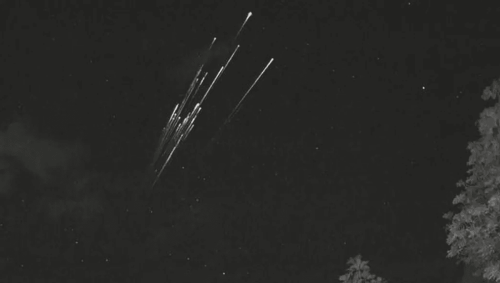 What Killed Off SpaceX's Starlink Satellites? It Might Have Been The "Terminator"