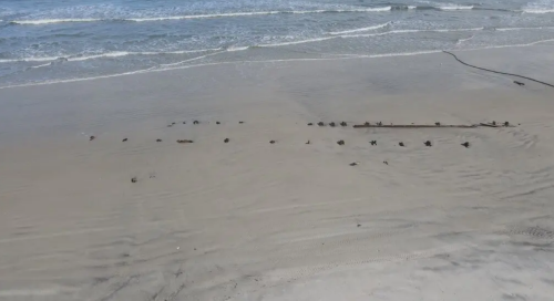 Hurricanes Reveal Mysterious Structure On Florida Beach, Sparking Theories