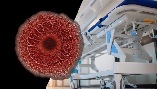For The First Time, Common Hospital “Superbug” Found To Break Down Medical Plastics