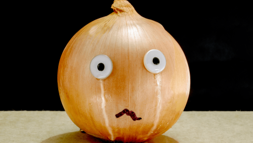Why Do Onions Make Us Cry?