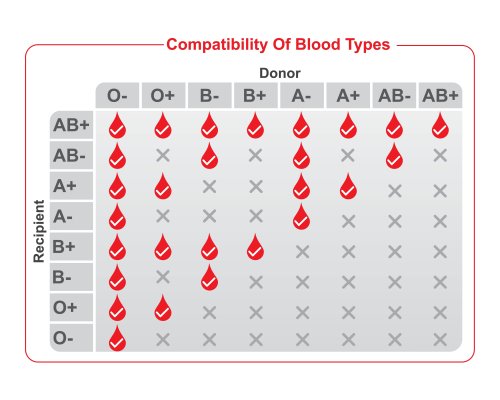 Golden Blood: Fewer Than 50 People In The World Have This Super-Rare Blood Type