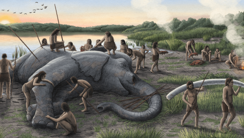 Elephants Twice The Weight Of Mammoths Were Hunted By Neanderthals 125,000 Years Ago
