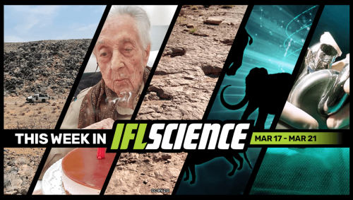 Unknown Lifeform Made Desert Structures Over A Million Years Ago, Should We Bring Extinct Species Back From The Dead? And Much More This Week
