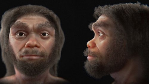 This Is The Face Of "Dragon Man", Modern Humans' Closest Relative