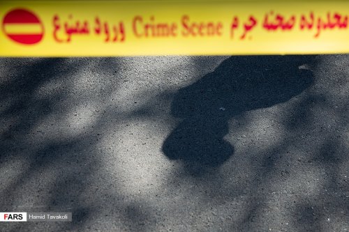 Footprints of moles seen in assassinations in Iran: Lawmaker