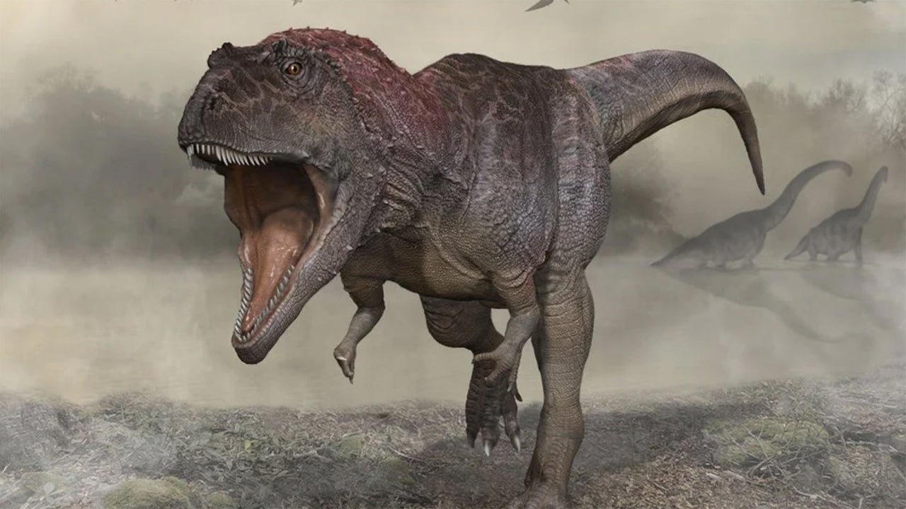 Newly Discovered Dinosaur Species Shares the T. Rex's Tiny Arms, But Has 'No Direct Relation'