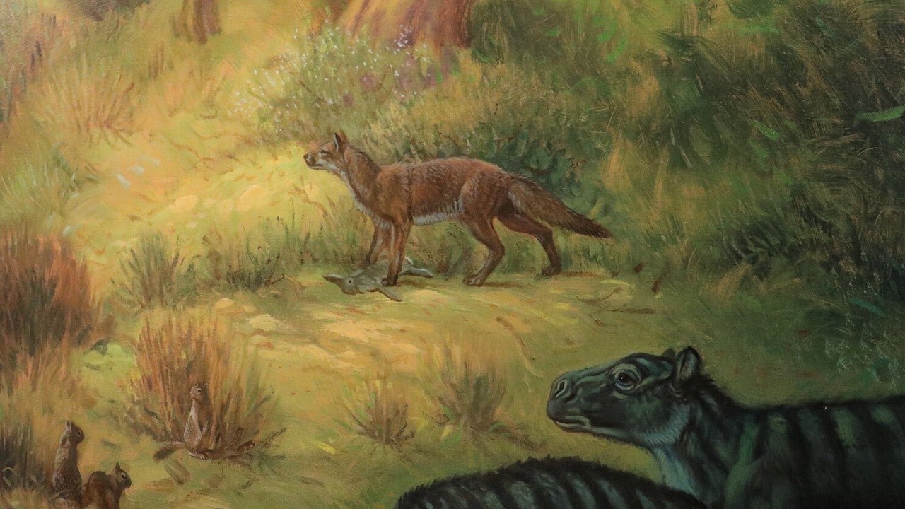 Newly-Discovered Fossils Reveal How Ancient Dogs Differed From Today's Faithful Companions