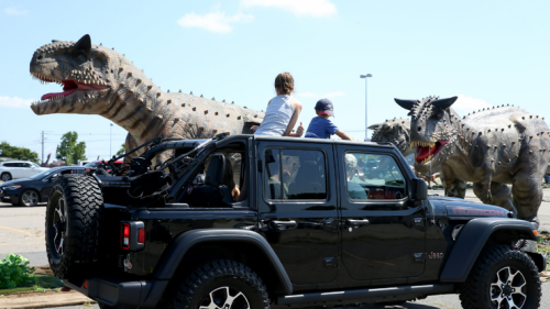 gillette jurassic quest